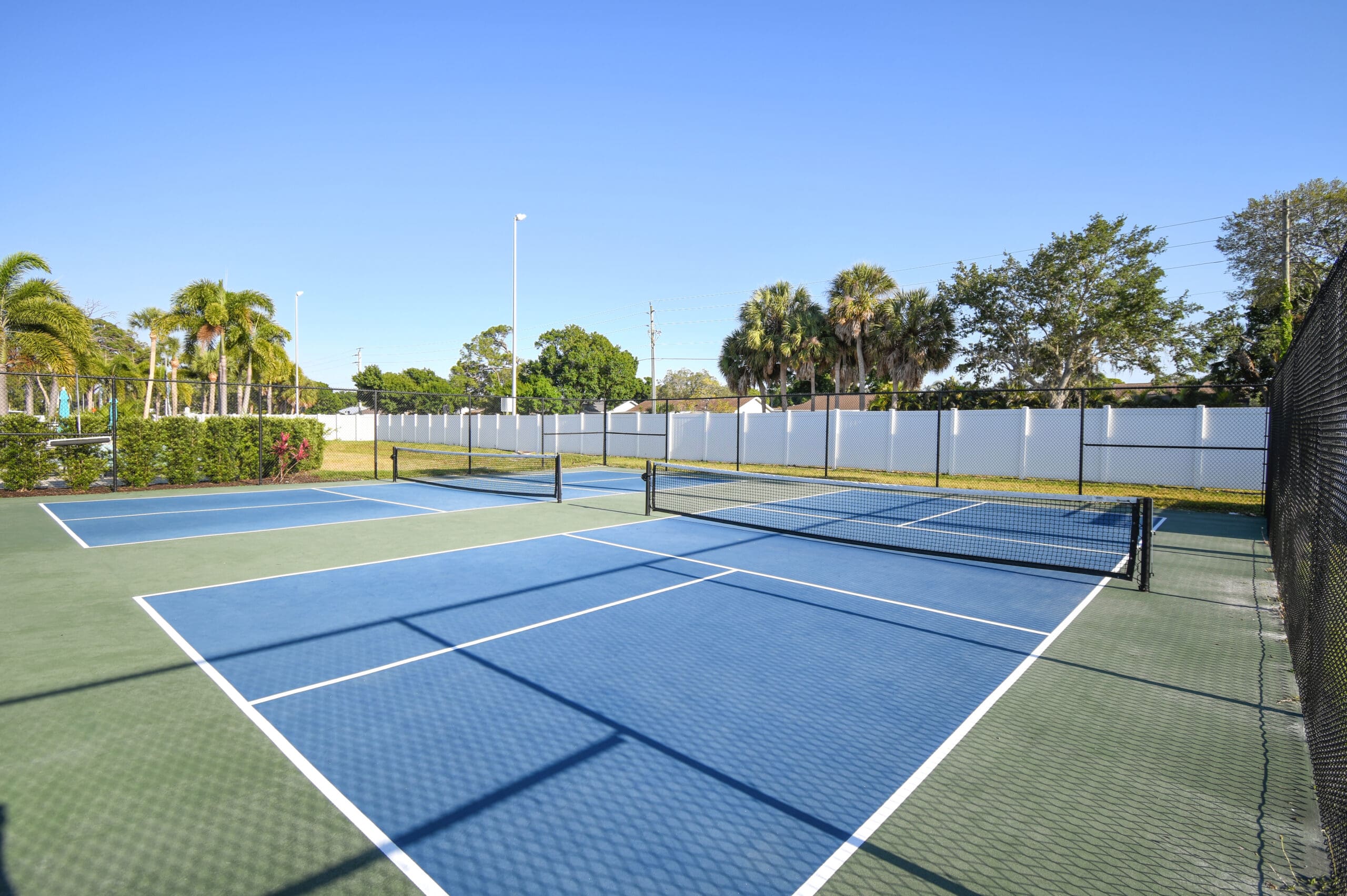 Pickleball Court